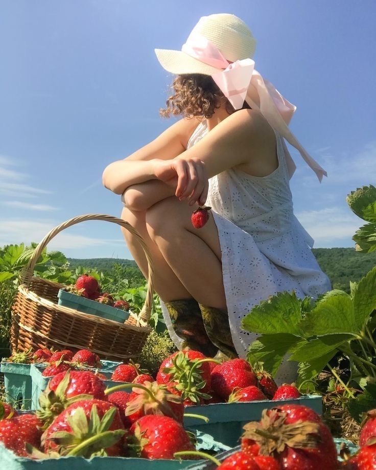 🍓 200 Semillas de Fresas Gigantes + Guía Paso a paso