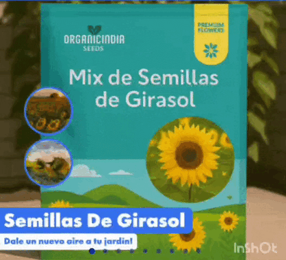 “100 semillas premium + ebook paso a paso”